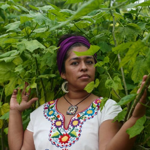 ‘Down the Garden Path’ Highlights Food Sovereignty Amidst Immokalee’s Food Desert