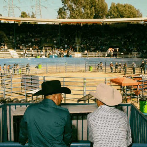 Jaripeo Fashion: Belt Buckles, Cowboy Hats, and Cultural Continuity